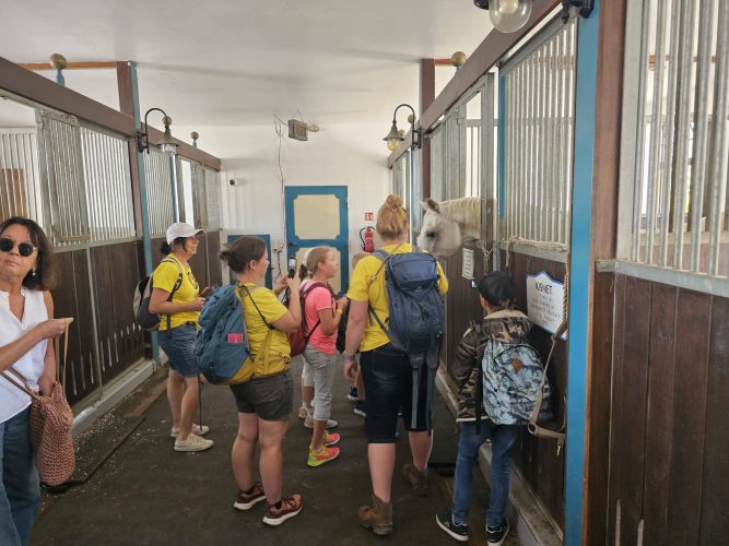 foto-kleiderbasar-rohrbach-ausflug-krone-farm-2